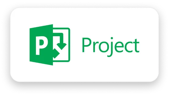 MS Project